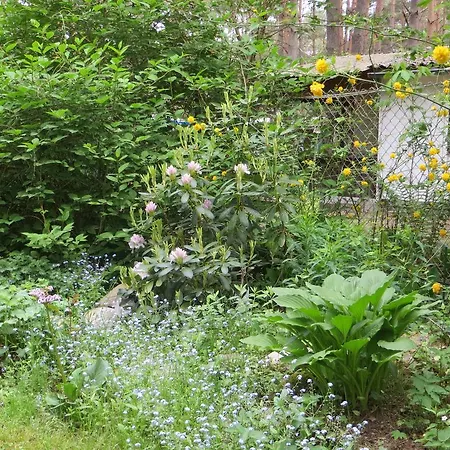 Kastavengrund - Ferienhaus Annabelle Mit Kamin Holiday home *